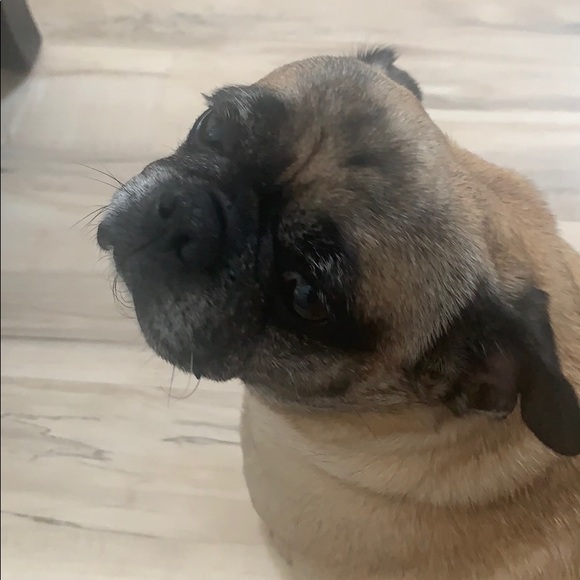 Meet your Posher, Debbie - Picture 1 of 1